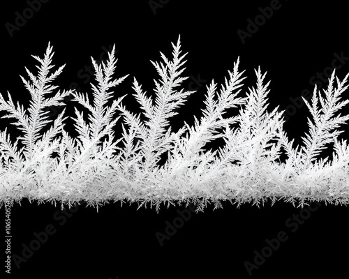 Wallpaper Mural Frosted plant leaves on white isolated background. Torontodigital.ca