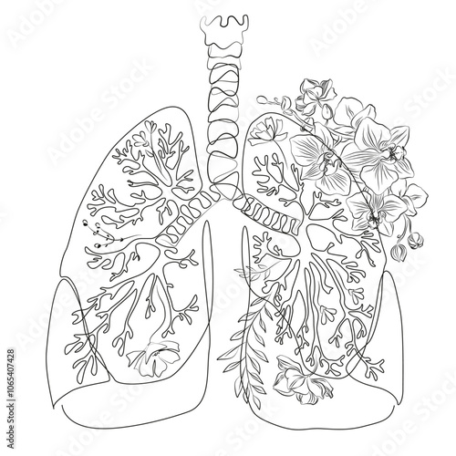 Human lungs contour line art. Medical print. Pulmonologist poster. Lung with flowers vector drawing.