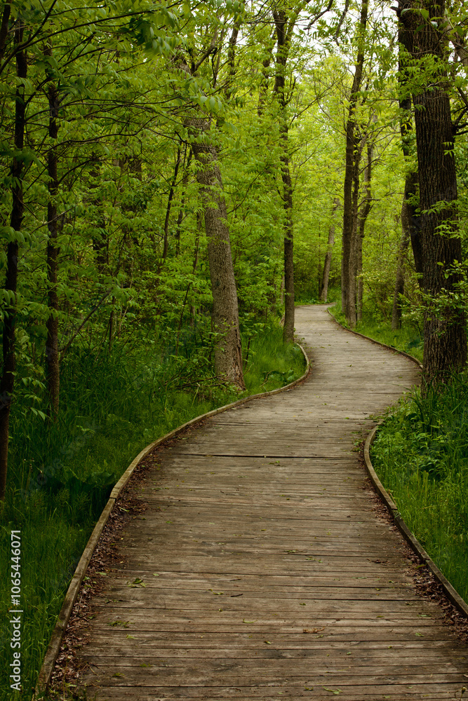 Boardwalk through marshy woods in spring. Pike Lake Unit, Kettle Moraine State Forest, Hartford, Wisconsin Boardwalk through marshy woods in spring. Pike Lake Unit, Kettle Moraine State Forest, Hartford, Wisconsin