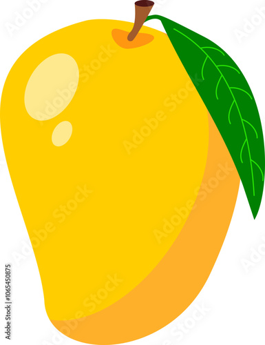 Mango fruit