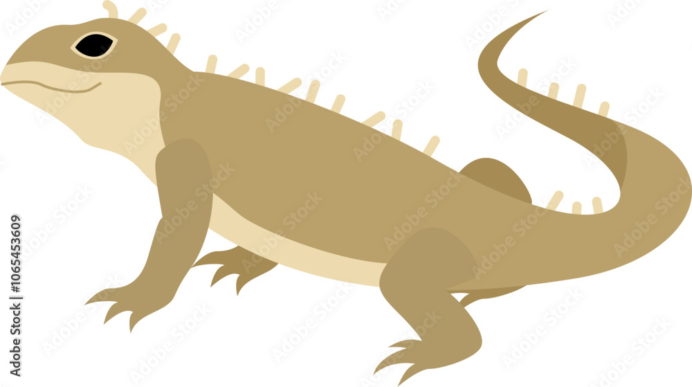 Fototapeta premium Tuatara reptile
