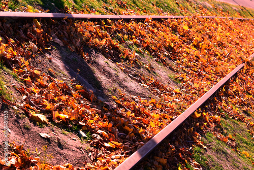 Wallpaper Mural  Red rails, red leaves, autumn has come. Torontodigital.ca