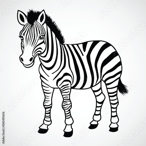 Cute Zebra cartoon animal character