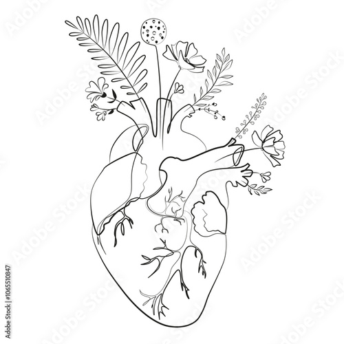 Flower heart line contour drawing on a white background. Anatomical decorative print. Medical minimalist art.