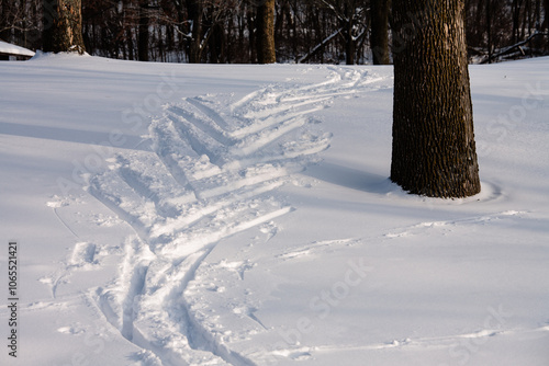 Cross-country herringbone to climb a hill within the Pike Lake Unit, Kettle Moraine State Forest, Hartford, Wisconsin photo