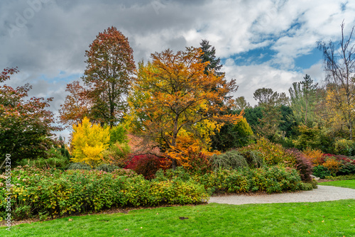 Kubota Gardens Fall Landsscape 7 photo