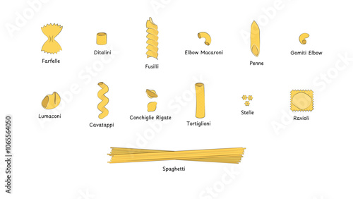 Different sorts of pasta. Set of different types of Italian pasta.Farfelle, ditalini, fusilli, conchigle rigate, penne, stelle, lumaconi, cavatappi,gomiti,elbow macaroni, ravioli,spaghetti,tortiglioni