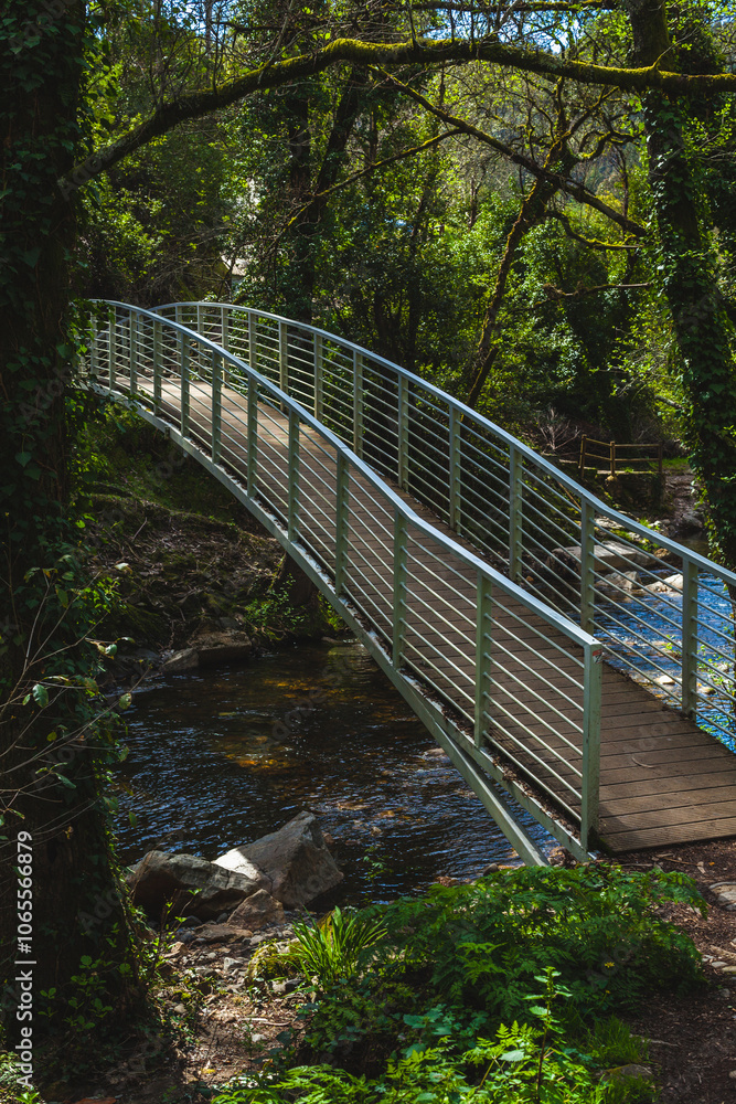 Fototapeta premium narrow footbridge crossing over a calm stream in a lush, green forest