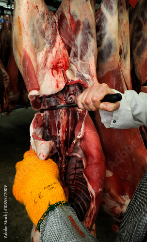 Meat carcasses being cut and disected in abattoir