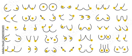 Female breast vector illustration in graphic line style. Hand drawn woman breast set. Cancer of female breast. Breast oncology. Woman breasts of different types, sizes, shapes.