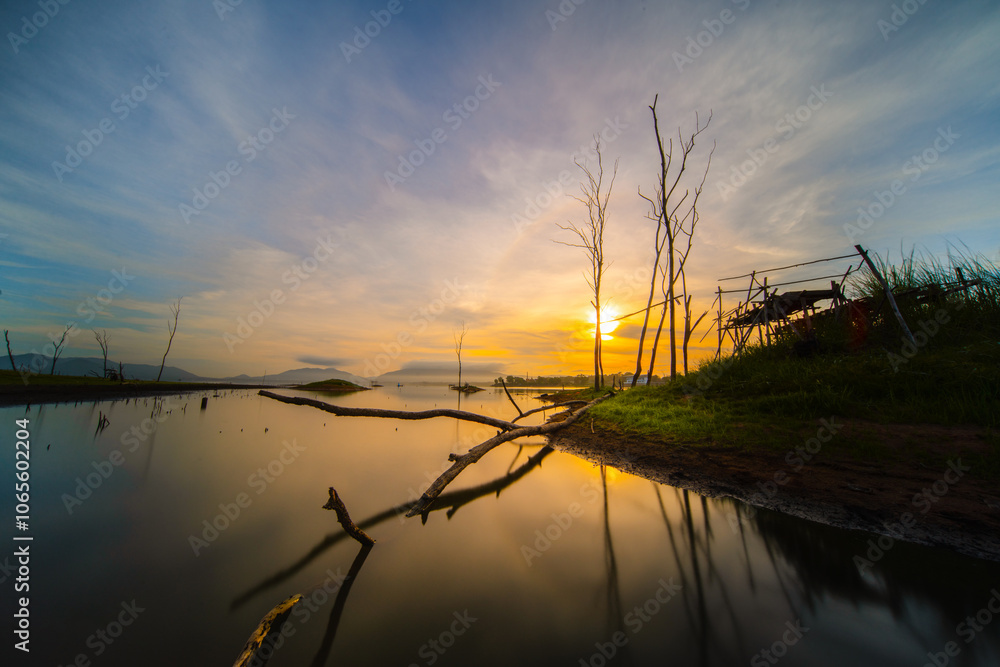 Obraz premium Dry trees in the evening reservoir