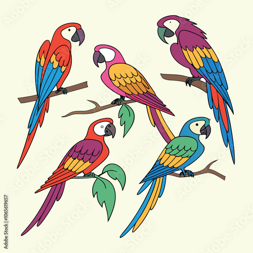 Creative Collection of various Bird's Illustration Design