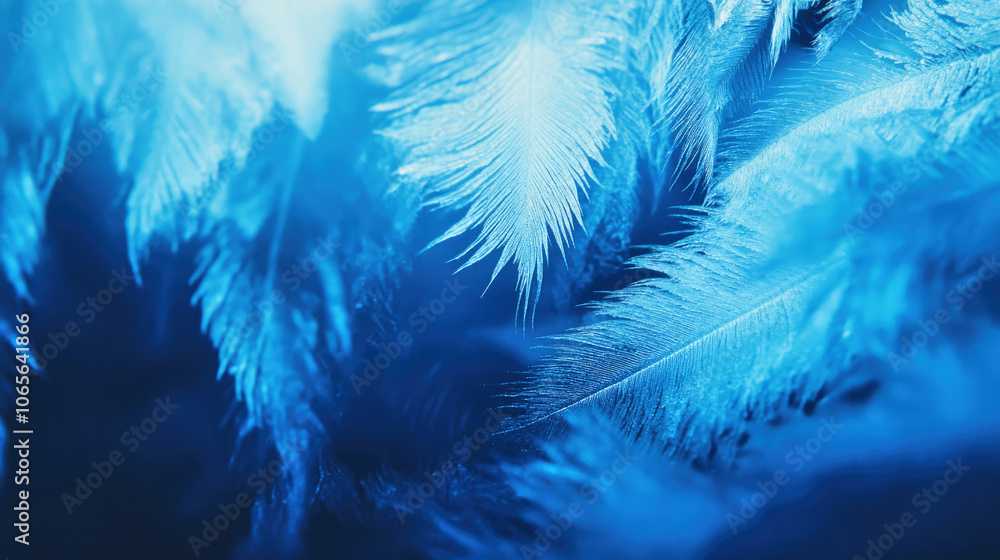 Obraz premium Frost sparkles on glass under a blue pre-dawn sky in Calgary, revealing intricate textures