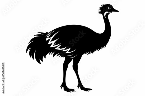 Emu silhouette vector, ostrich emu bird vector illustration,Bird Emu icon vector silhouette art illustration,Beautiful bird emu silhouette black icon vector art illustration.