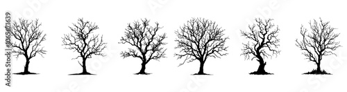 Tree Silhouette, black tree, isolated on transparent background
