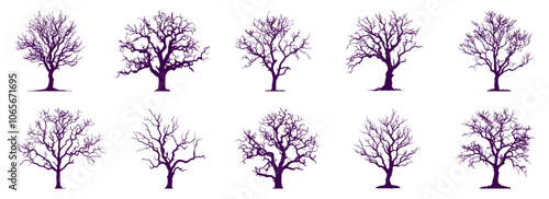 Tree Silhouette, intricate silhouettes of leafless trees
