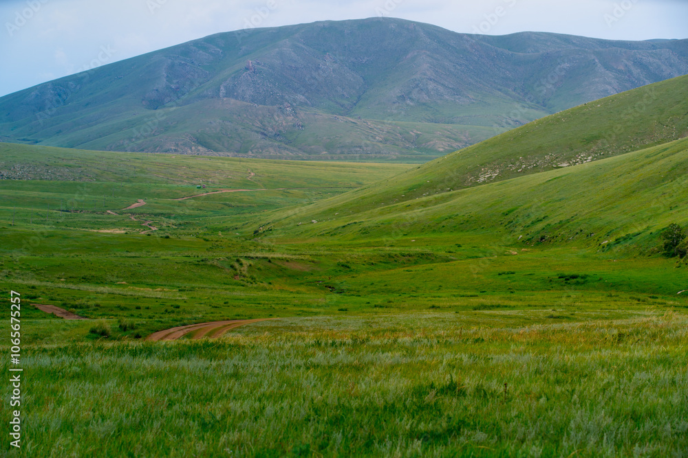 Obraz premium Khustain Nuruu National Park, also known as Hustai National Park, the best known as a home to the Takhi or Przewalski's horse, the last surviving wild horse in the world, Mongolia