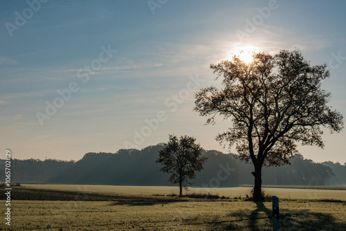 Herbstzeit in Bocholt photo