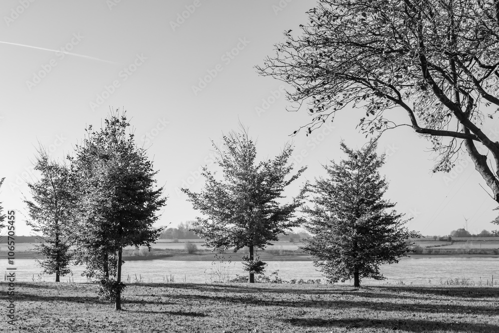 Fototapeta Herbststimmung am Rhein