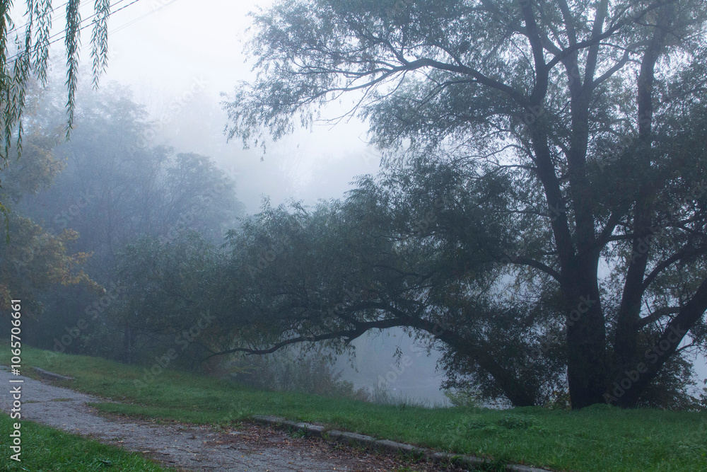 Autumn in Moldova, foggy landscape in the park. Thick fog early in the morning on the lake shore.