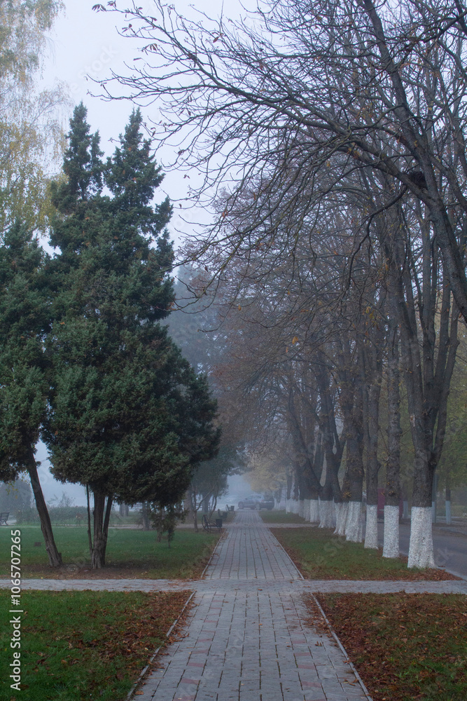 Autumn in Moldova, foggy landscape in the park. Thick fog early in the morning on the lake shore.