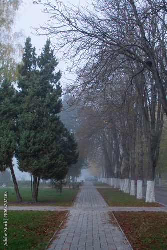 Autumn in Moldova, foggy landscape in the park. Thick fog early in the morning on the lake shore.