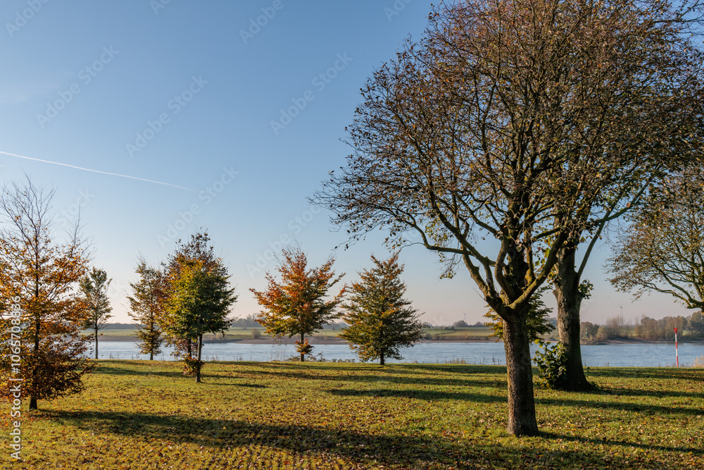Fototapeta premium Herbststimmung am Rhein