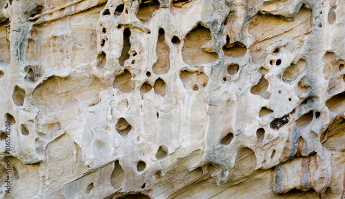 Wallpaper Mural stone wall texture, holes in rock, textured rock, pattern of holes Torontodigital.ca
