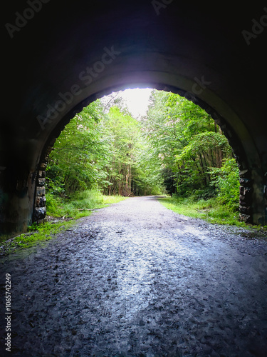 abstract looking into the light from inside a dark tunnel forest background photo