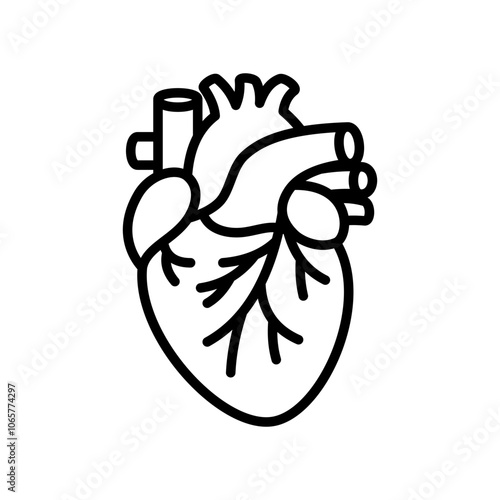 Illustration of a human heart outline with arteries and veins in a minimalist black line style.