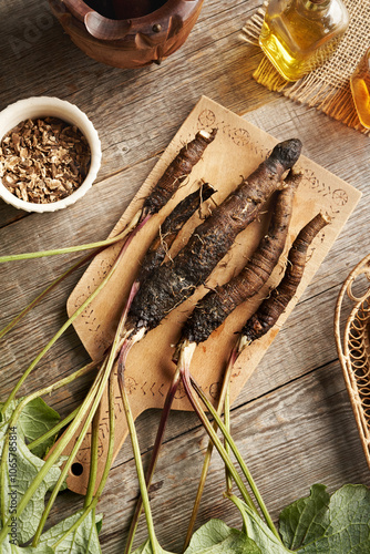 Fresh and dry burdock root on a wooden table, top view