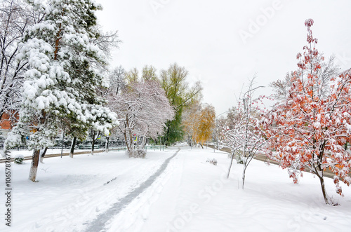 Urban landscape after first snowfall. Snowy alley with a narrow path between colorful trees with red, gold, green foliage covered with fluffy snow. Concept of meteorology, change of seasons