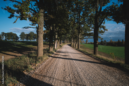alley in the countryside