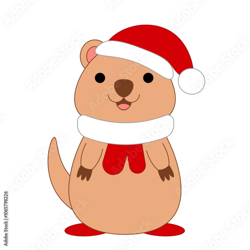 Cute Christmas Quokka Santa in color