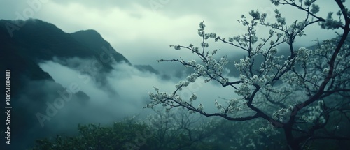 山々の霧に包まれた春の花が咲く中、静寂が漂う美しい風景