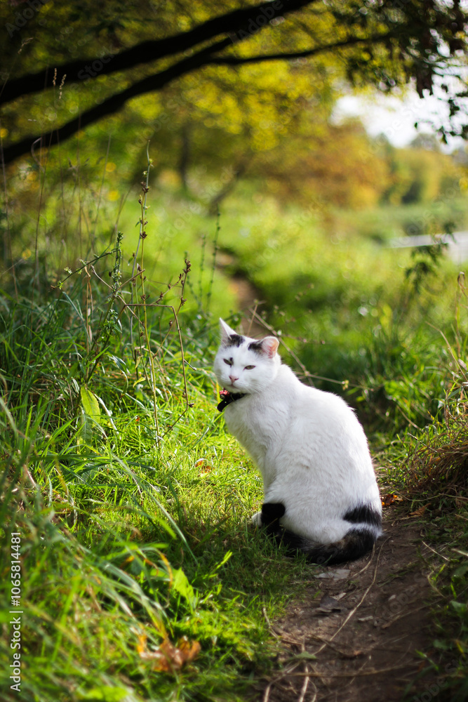 Obraz premium Unexpected friend