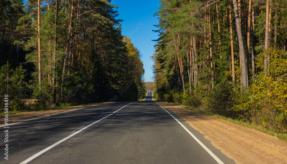 Fototapeta premium Autumn landscape, road and highway, asphalt and roadside.