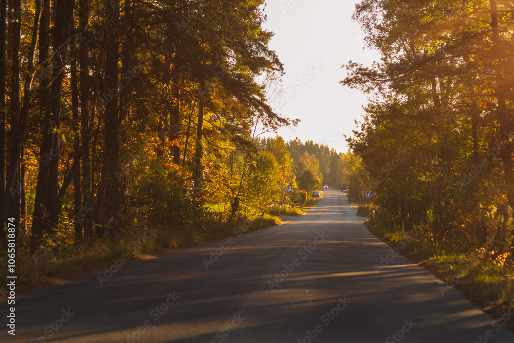 Obraz premium Autumn landscape, road and highway, asphalt and roadside.