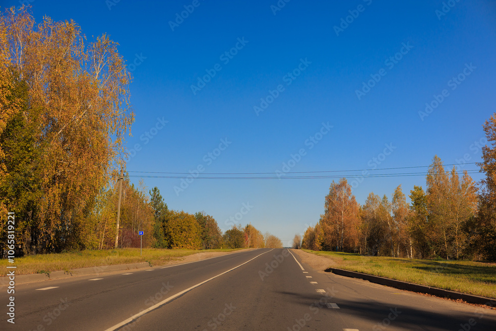 Fototapeta premium Autumn landscape, road and highway, asphalt and roadside.