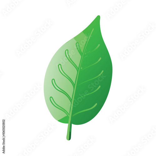 Green Leaf Icon with Simple Design, Simple icon of a green leaf with vein details, symbolizing nature, freshness, and eco-friendliness.
