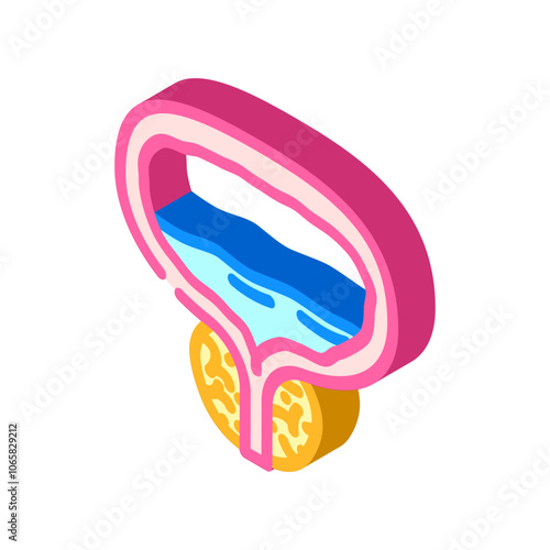 prostate health man disease isometric icon vector. prostate health man disease sign. isolated symbol illustration