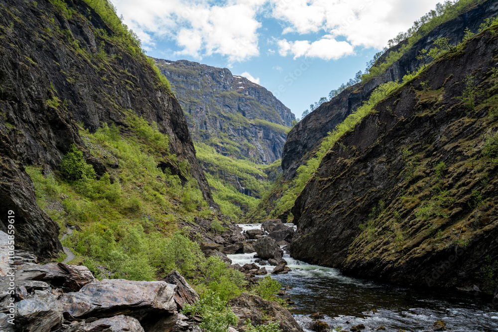 Obraz premium mountain river in the mountains