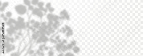 Glare from the sun's rays on the wall. Blurred shadows from leaves and plants in the room. Soft overlay of natural light. 