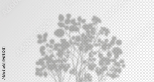 Glare from the sun's rays on the wall. Blurred shadows from leaves and plants in the room. Soft overlay of natural light. 