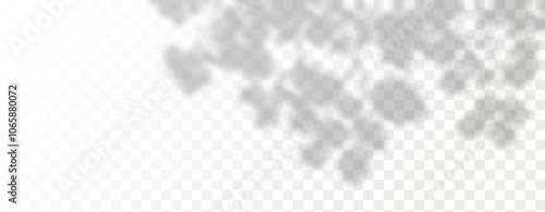 Glare from the sun's rays on the wall. Blurred shadows from leaves and plants in the room. Soft overlay of natural light. 