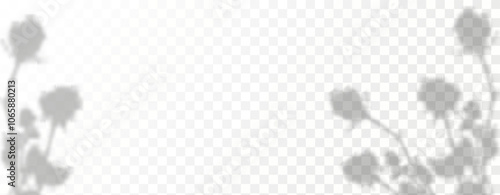 Glare from the sun's rays on the wall. Blurred shadows from leaves and plants in the room. Soft overlay of natural light. 