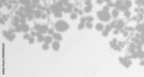 Glare from the sun's rays on the wall. Blurred shadows from leaves and plants in the room. Soft overlay of natural light. 