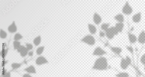 Glare from the sun's rays on the wall. Blurred shadows from leaves and plants in the room. Soft overlay of natural light. 