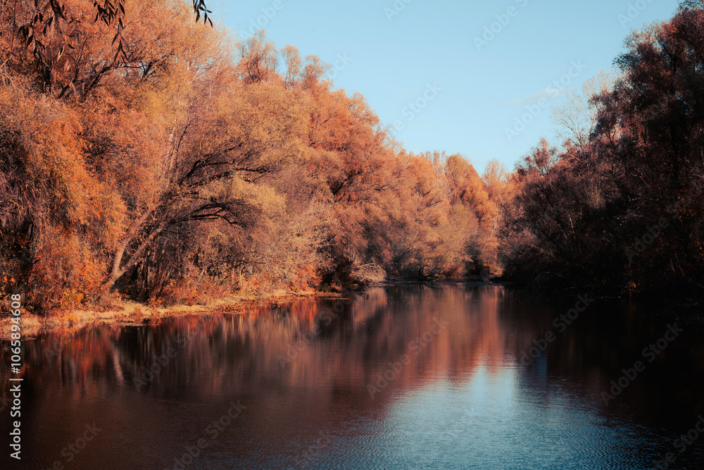 Fototapeta premium Serene autumn day with calm waters and colorful foliage reflected in a river, showcasing the beauty of the fall season.