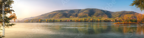 Fotografie Golden sunrise illuminating colorful vineyards on the hills of the danube river